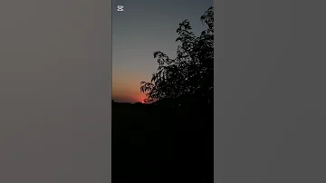 27 تموز 2025 