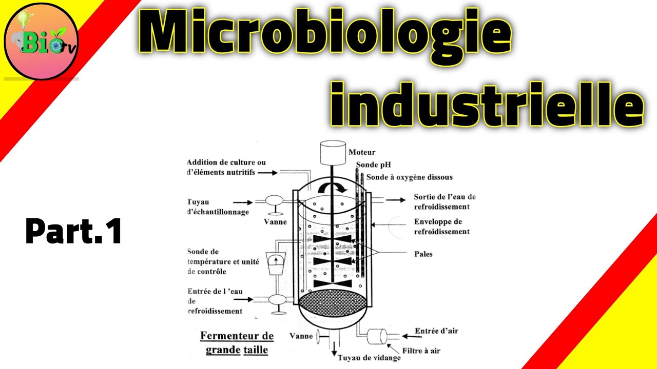 Microbiologie industrielle définition et domaines - YouTube