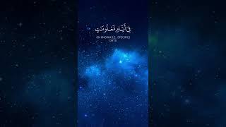 Surah Al-Hajj — A Reminder of Faith and Sacrifice 🌙 ⎸ #shorts #surahhajj #quran #quranrecitation
