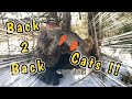 Back to Back Bobcat&#39;s how and why we re-set on cats