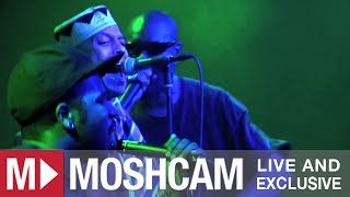 Fishbone - Flutter Butter | Live in San Francisco | Moshcam