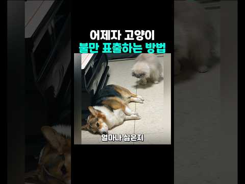 얼마나 싫은지 감도 안옴 ㅋㅋㅋ thumbnail