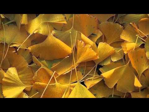 Somewhere Else Video