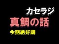 【カセラジ】真鯛が好調・春の串本カセに役立つロッドは