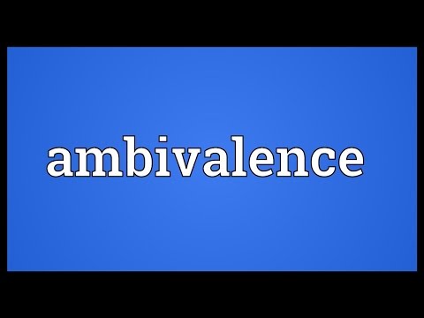 Ambivalence Meaning