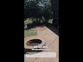 Paver Power Washing in Worthington, Ohio #shorts