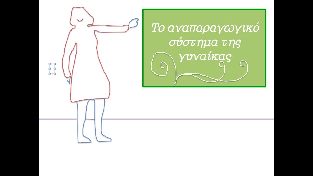 Αναπαραγωγικό σύστημα της γυναίκας