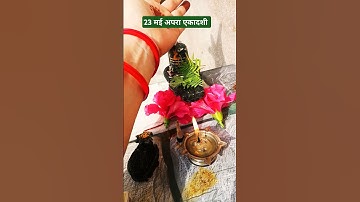 23 मई अपरा एकादशी के दिन अक्षत का उपाय करना ना भूले #pradeepmishrajidhankeupay #upay