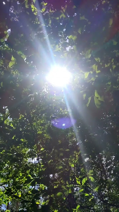 Moment of Nature - 'Carpe Diem'