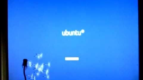 Ubuntu 10.04/Fedora/Linux Mint 9...New Plymouth Theme " Dandelion"