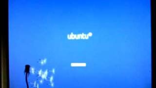Ubuntu 10.04/Fedora/Linux Mint 9...New Plymouth Theme " Dandelion"