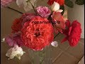 ароматные розы, (1) питомник роз полины козловой rozarium.biz