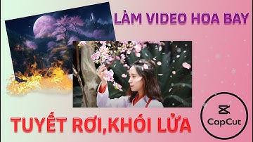 Cách làm hiệu ứng hoa bay ,khói lửa,tuyết rơi,.. bằng phần mềm Capcut PC
