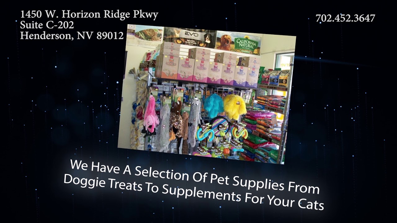 Grooming in Henderson, NV The Soggy Dog YouTube