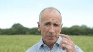 Growers Labour