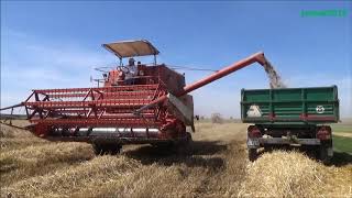 Żniwa 2017 3X Bizon Z050, Z056, Z058 Rekord