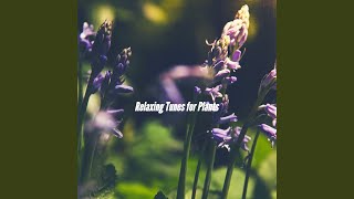 Cultivated Backdrops for The Core Thing