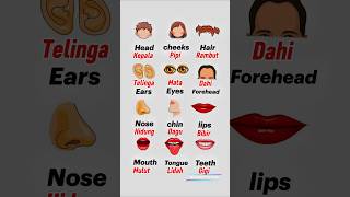Human body parts English to malay #learnmalay #english #bodyparts #wahidofficial #shorts #subscribe