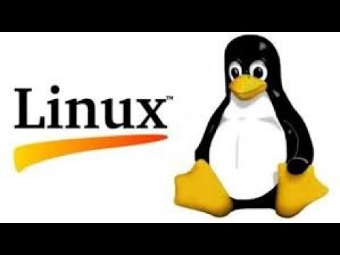 Shell Scripting Tutorial Run Checks On Strings
