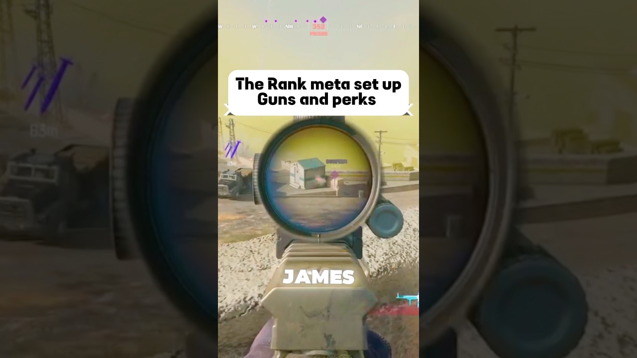 Rank meta set up - guns and perks
