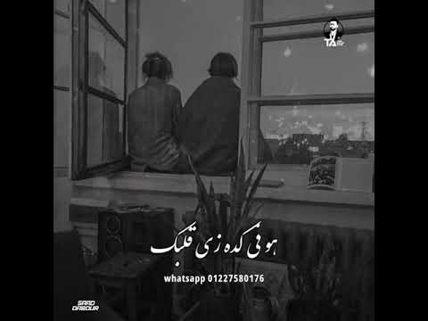 تامر عاشور احلى عمر أنا عشتو جنبك
