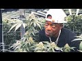 Devin The Dude is back with The Bakerie