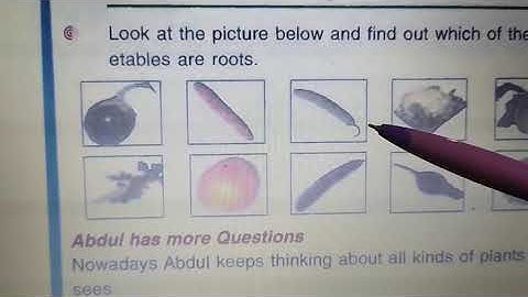 Abdul in the Garden Part II (4th EVS)