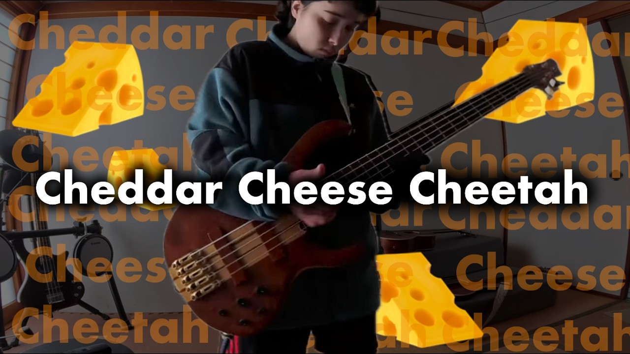 BASS! - Cheddar Cheese Cheetah - チェダーチーズチーター #Originalsong #オリジナル曲 ...