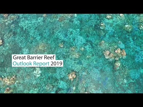 Great Barrier Reef Outlook Report 2019 | Great Barrier Reef Marine Park Authority