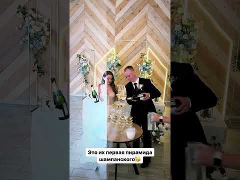 #ведущий #свадьба #невеста #загс #любовь #свадебныйведущий #ведущийсвадьбы #свадьба2023 #жених