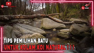 TIPS PEMILIHAN BATU UNTUK KOLAM KOI NATURAL ❗❗❗