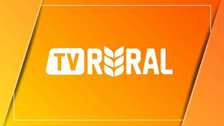 TV Rural - Sabores da terra |...