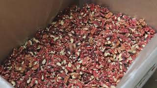 Bertagna Nut Company