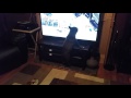 French bulldog sees pug on tv