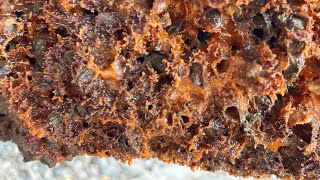 Barnacles removal satisfying ASMR (episode 551)
