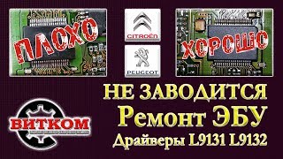 Не заводится Пежо Ситроен. Ремонт ЭБУ. Драйверы L9131 L9132.