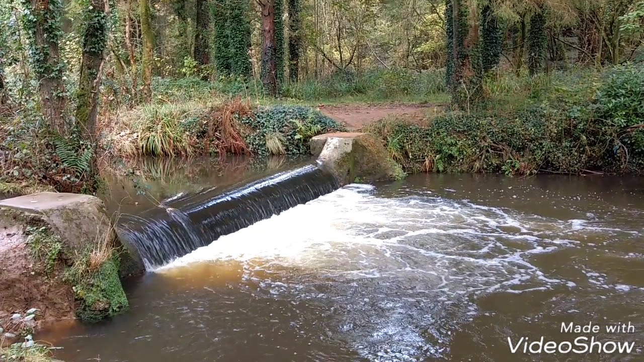 Penllergare Valley Woods Waterfall 4.11.18