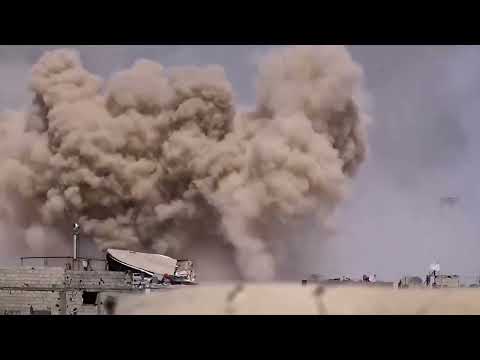 خمسون عاما الشرهان