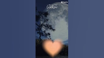 سورة طه الشيخ خالد الجليل #تلاوة_القرآن #تلاوة_خاشعة #ترند #اكسبلور #تيك_توك #ترند_تيك_توك #اكسبلور