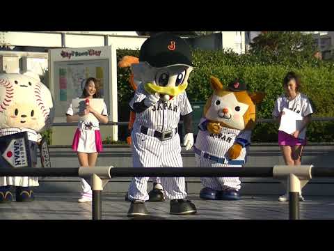 アジアプロ野球CSに行ってみた！／【決勝】やすあきドームをゆらせ！／2017.11.19　予選１位日本×予選２位韓国　うそにゃん　東京ドーム