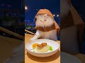 A Persian Cat is Cooking Dolma Grape Leaves