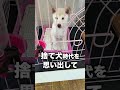愛犬コロちゃんの知らないと後悔する雑学#shorts