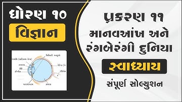 dhoran 10 vigyan path 11 swadhyay std 10 science ch 11 manavankh ane rangberangi duniya part 11