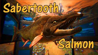 Sabertooth Salmon Educational Special [75]