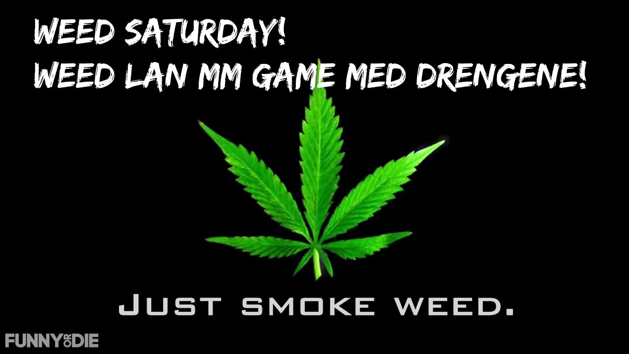 CS:GO Weed Saturday! Weed lan MM game counter strike go ranks