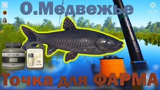 рр4 фарм на озере Медвежье Русская рыбалка 4 RF4 Russian fishing 4