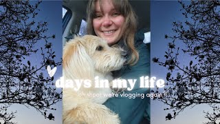 DAYS IN THE LIFE | intermittent fasting, working from home, and feeling super motivated again (: