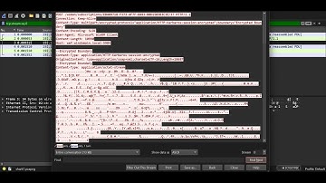 Wireshark doo dooo do doo... | picoCTF 2021 | Forensics