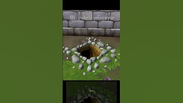 Where in Gielinor? RS GeoGuessr Challenge! (easy)