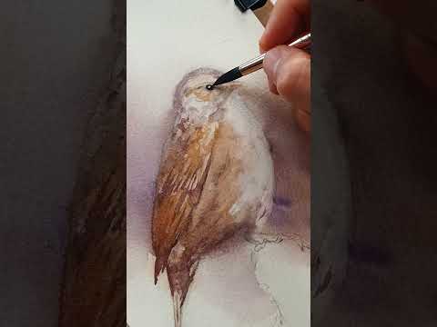 🎨✏️ 8 TIPS: